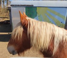 Wanderung "Perspektivenwechsel"